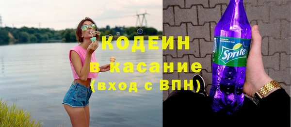 spice Ельня