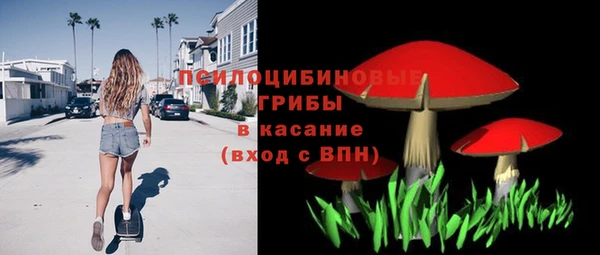 первитин Дмитриев