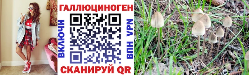 Купить где  Кирс  Галлюциногенные грибы мухоморы 